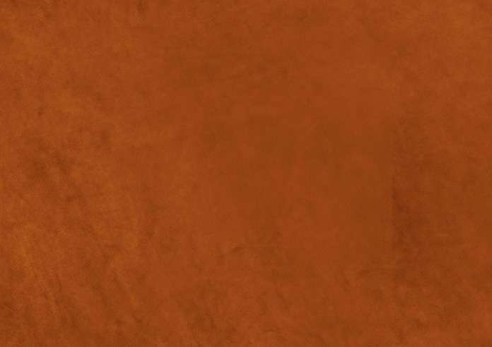 Odessa Velvet, Rust - Made to Measure Curtains - Image 8